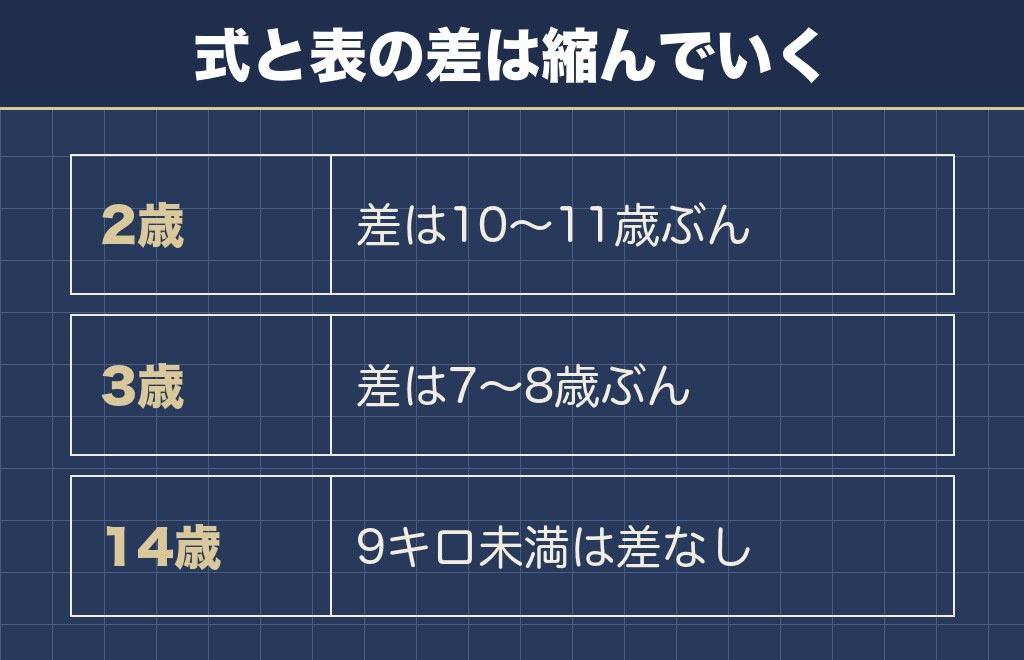 柴犬の3歳で人間の年齢が8歳ぶん割れる理由