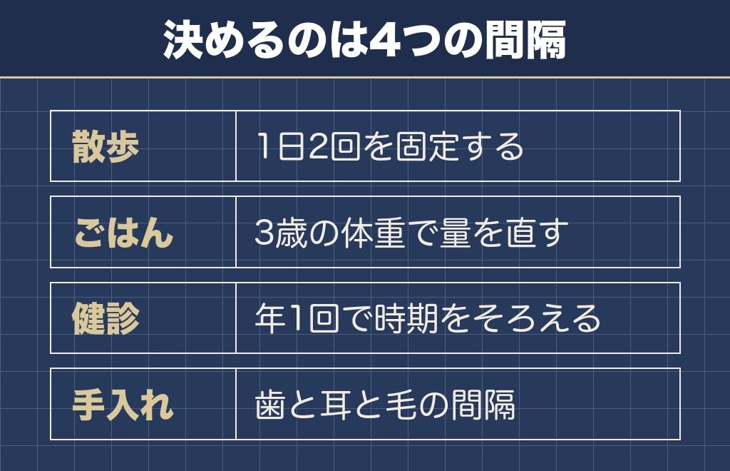 柴犬の3歳から暮らしで決めておくこと