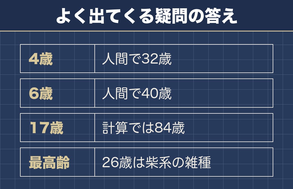 柴犬の3歳と人間の年齢に関するQ&A