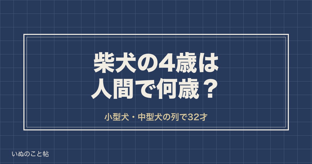 柴犬の4歳は人間で32歳？落ち着く時期と5歳からの変化も
