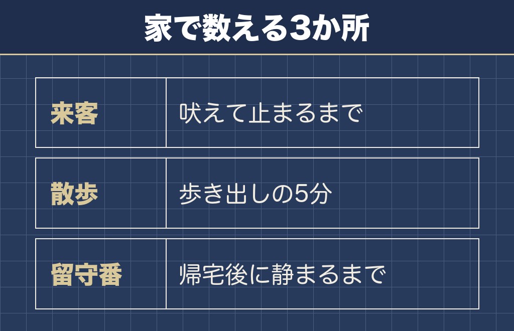 柴犬が落ち着く年齢は表には書かれていない