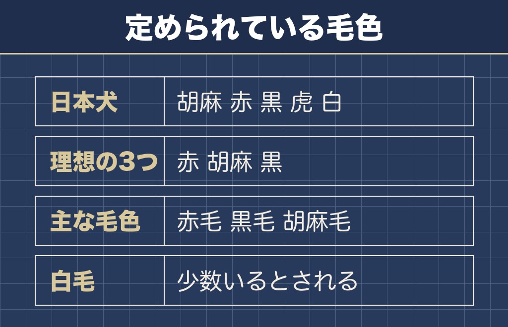 胡麻柴が珍しいといわれるのは毛色の決まり方から