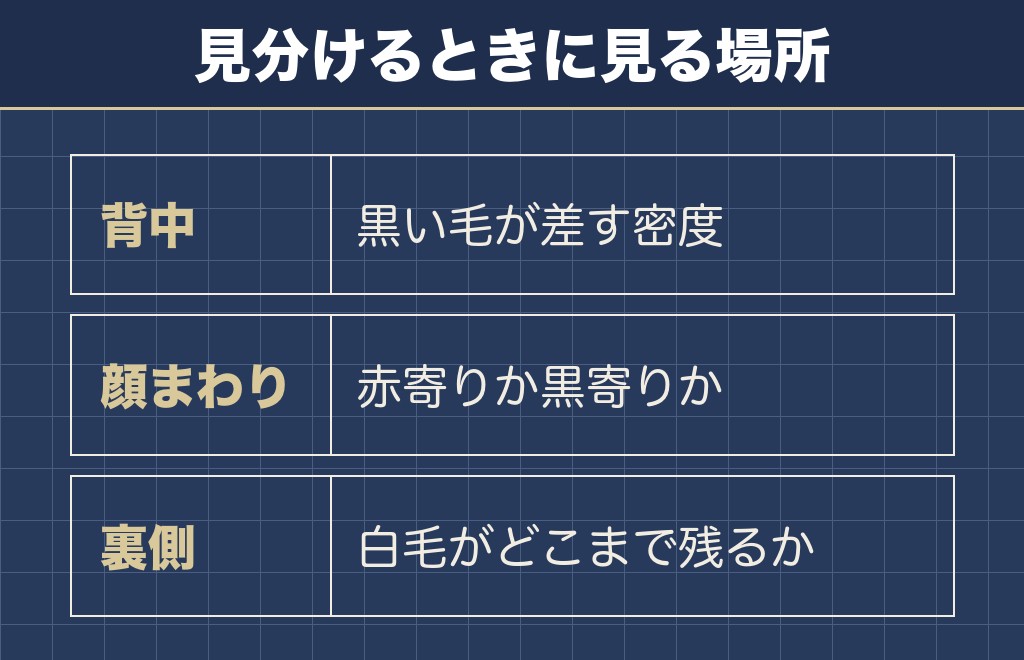 赤胡麻と黒胡麻の違いは混ざる黒毛の量