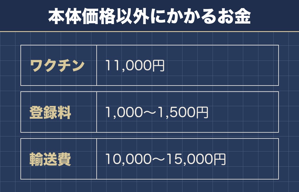柴犬の胡麻が13万円から128万円まで開く理由