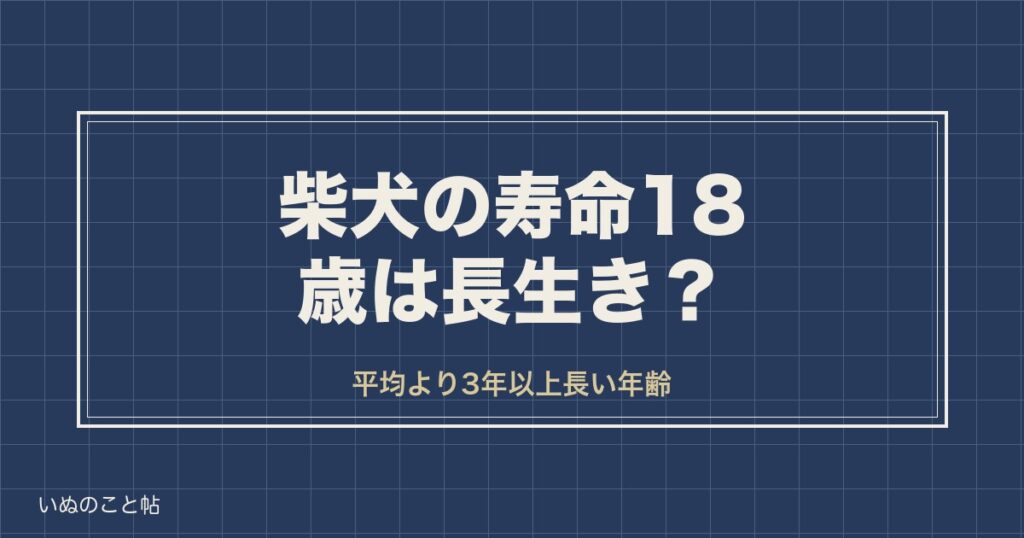 柴犬の寿命18歳は長生き？人間なら何歳かとギネス記録の最高齢も