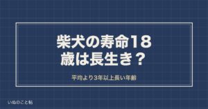柴犬の寿命18歳は長生き？人間なら何歳かとギネス記録の最高齢も