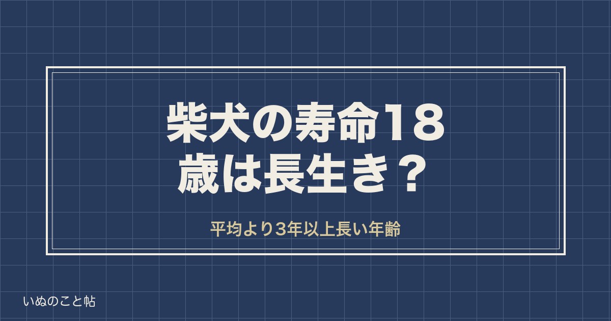 柴犬の寿命18歳は長生き？人間なら何歳かとギネス記録の最高齢も