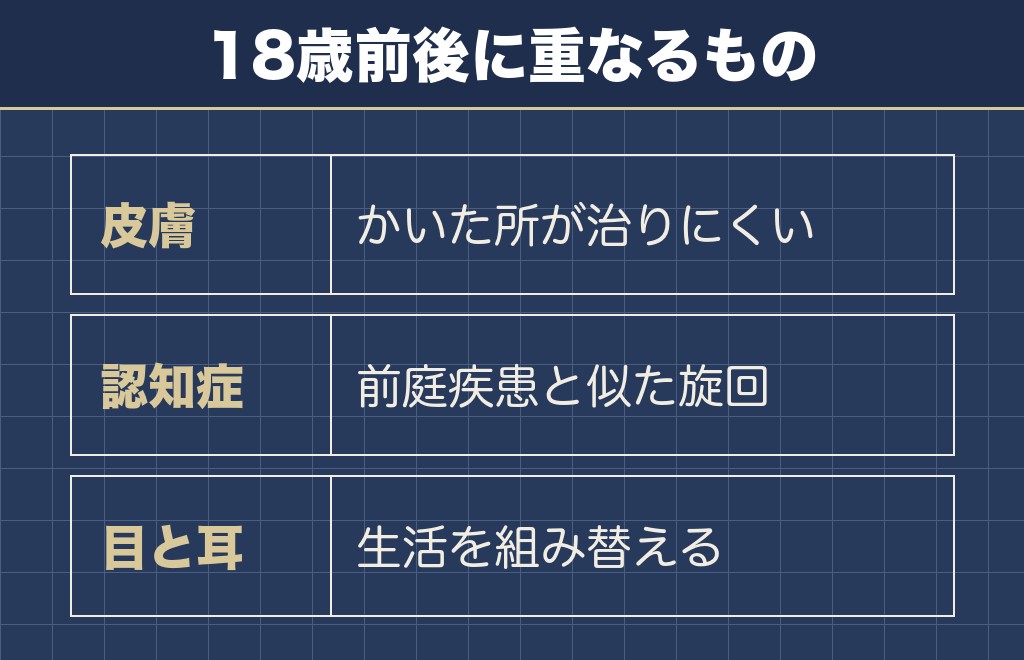 柴犬の18歳前後に増える病気と死因の見方