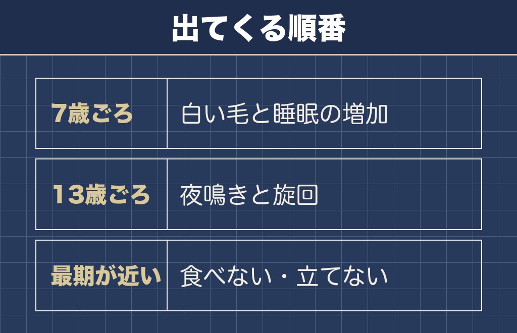 柴犬は何歳からボケるかと老いのサイン