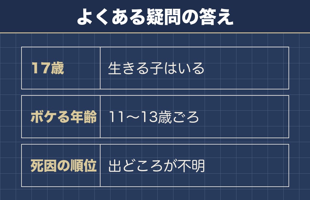 柴犬の寿命18歳に関するQ&A