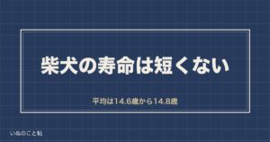 柴犬の寿命は短い？平均は14歳台で縮める要因と長生きのコツも