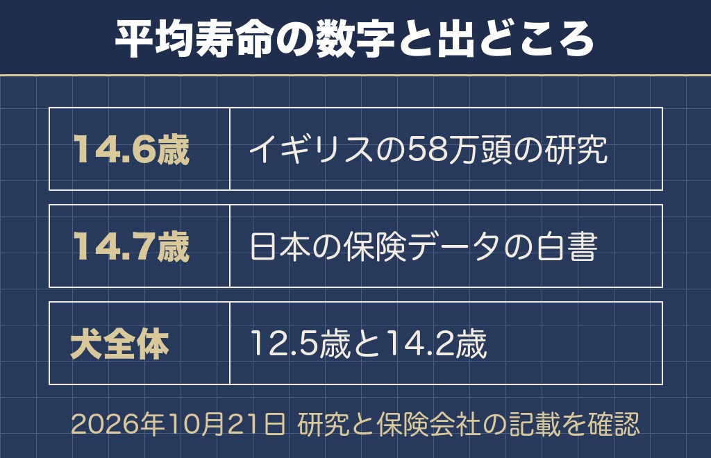 柴犬の寿命は短いどころか犬全体より長い