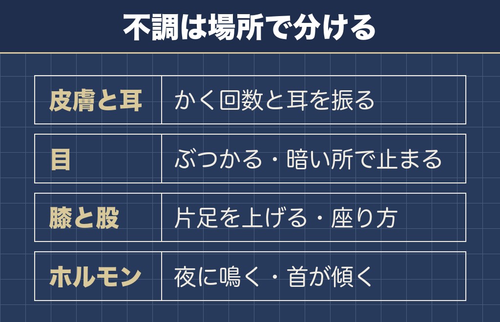 柴犬の寿命に関わりやすい体の不調