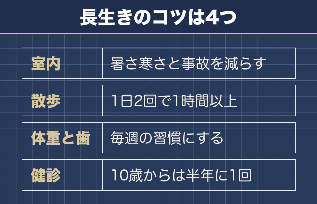 柴犬に長生きしてもらうコツは4つにまとまる