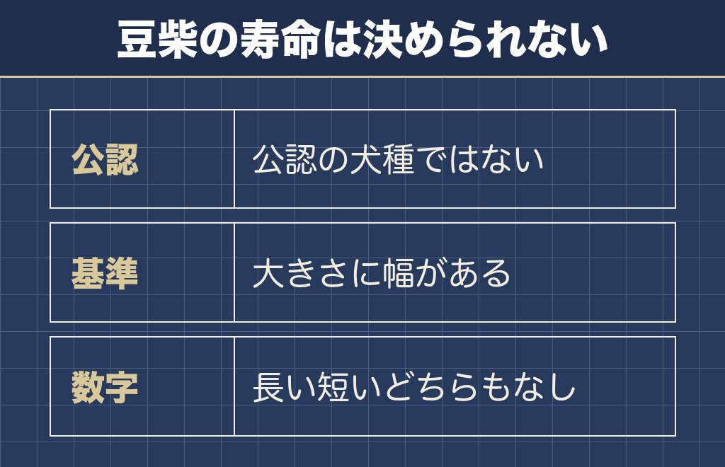 豆柴の寿命が柴犬より短いとは言えない