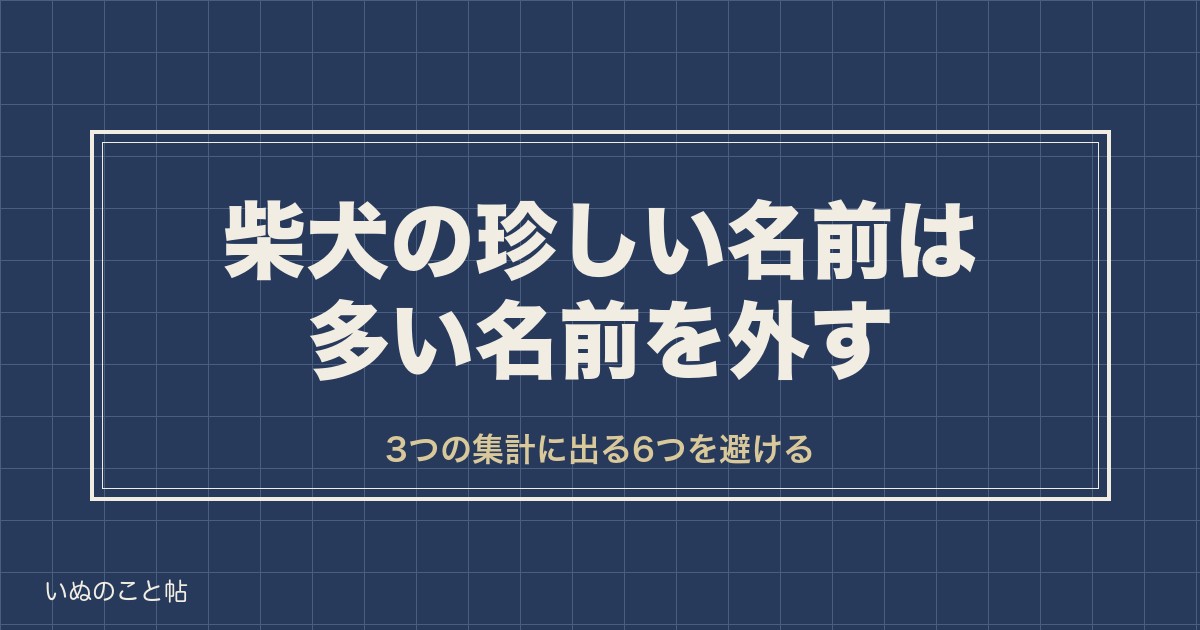 柴犬の珍しい名前は多い名前を外して選ぶ？和風や二文字の例も
