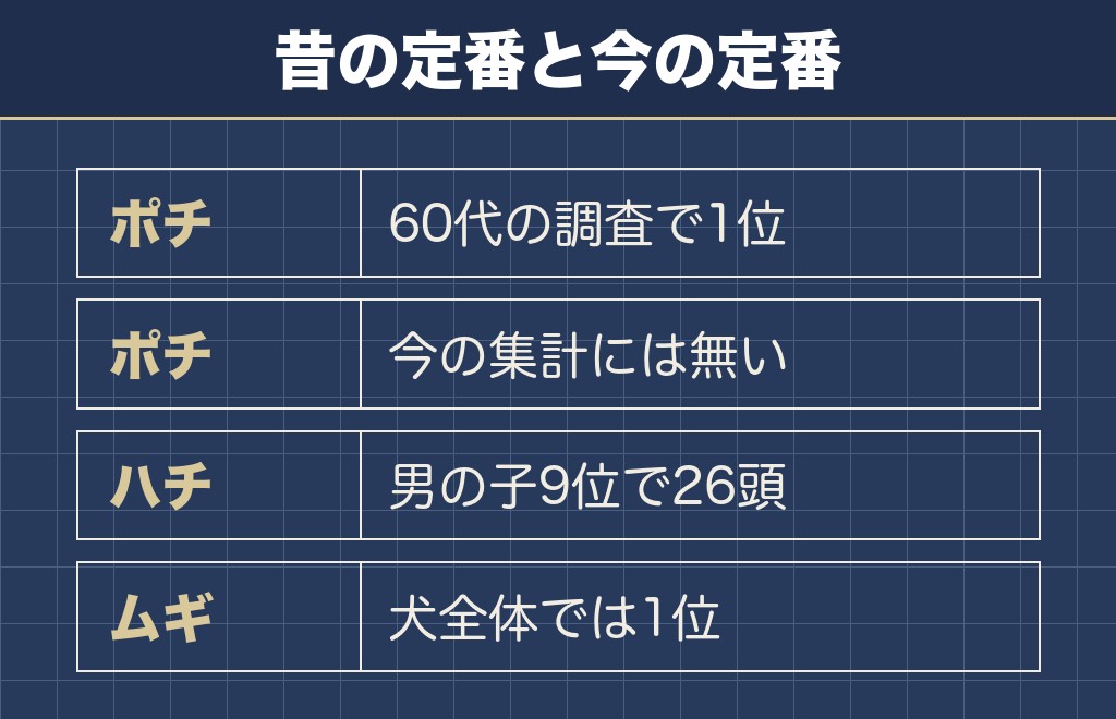 柴犬に多い名前は昔と今で入れ替わっている