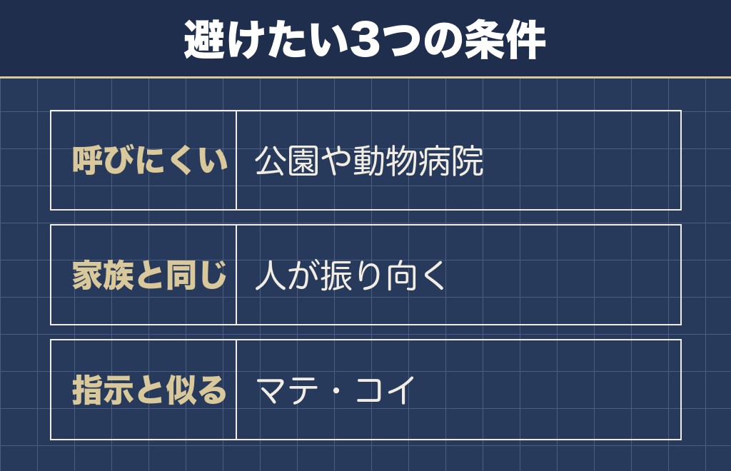 柴犬の名前で避けたい条件と覚えてもらう呼び方