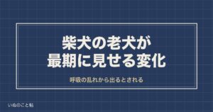 柴犬の老犬が最期に見せる変化は？呼吸や挨拶のしぐさと寿命も