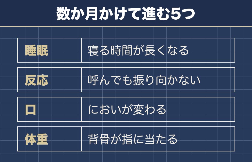 柴犬の老犬の最期の前に出る老衰のサイン