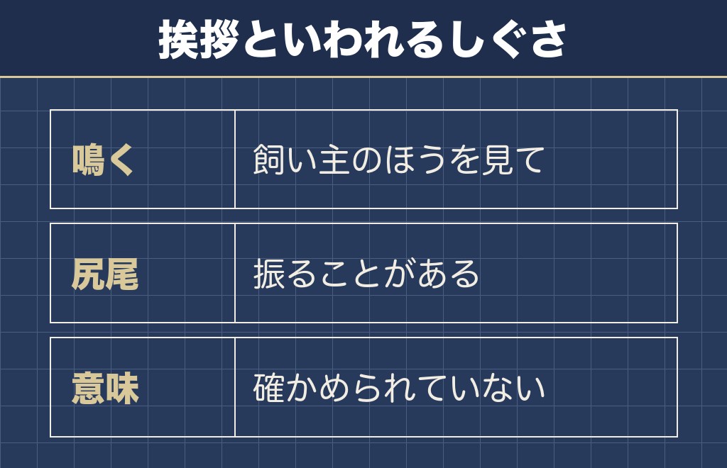 柴犬が最期に挨拶をするといわれる理由