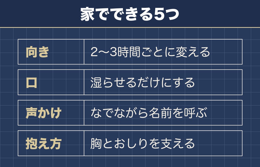 柴犬の老犬の最期に家でできること