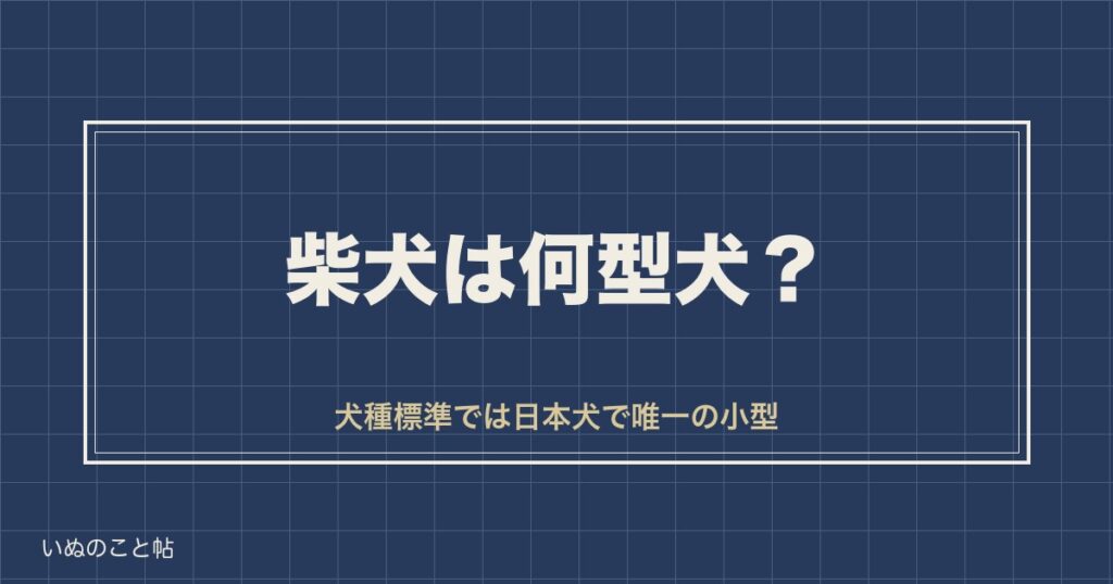 柴犬は何型犬？小型犬と中型犬で扱いが変わる基準と体重の目安も