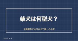 柴犬は何型犬？小型犬と中型犬で扱いが変わる基準と体重の目安も