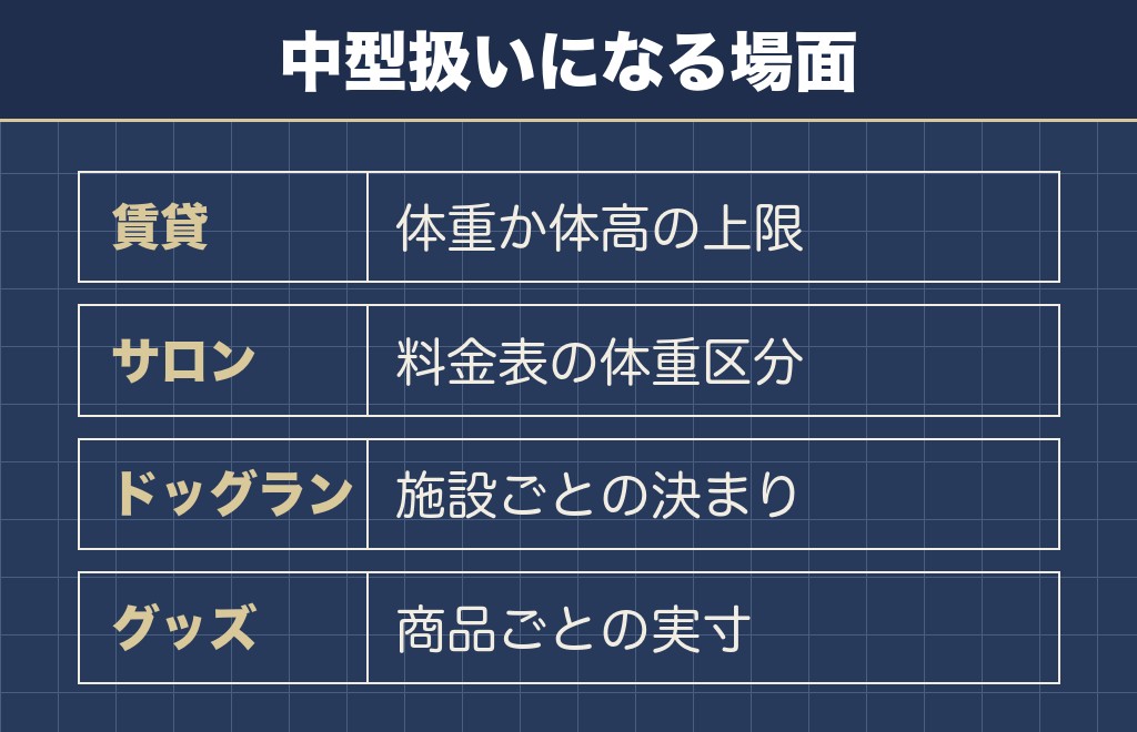 柴犬が中型犬として扱われる場面は4つ