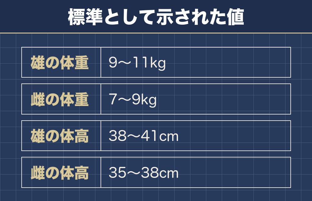 柴犬の体重と体高の目安は成犬で7〜11kg