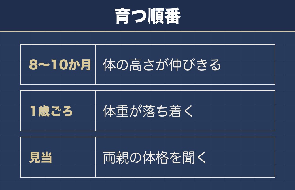 柴犬の大きさが決まるのはいつごろか