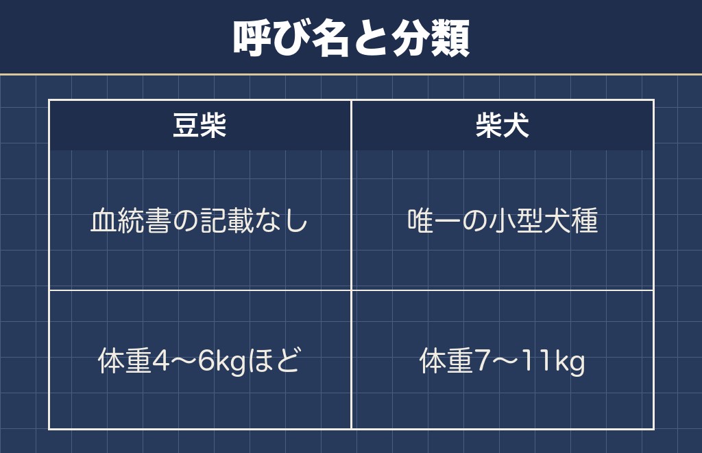 豆柴は柴犬と同じ小型犬にあたるのか