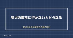 柴犬の散歩に行かないとどうなる？不足のサインと寿命の関係も