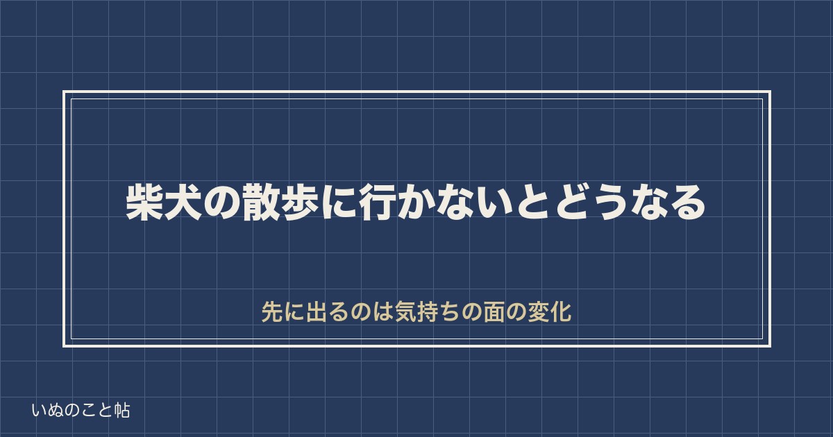 柴犬の散歩に行かないとどうなる？不足のサインと寿命の関係も