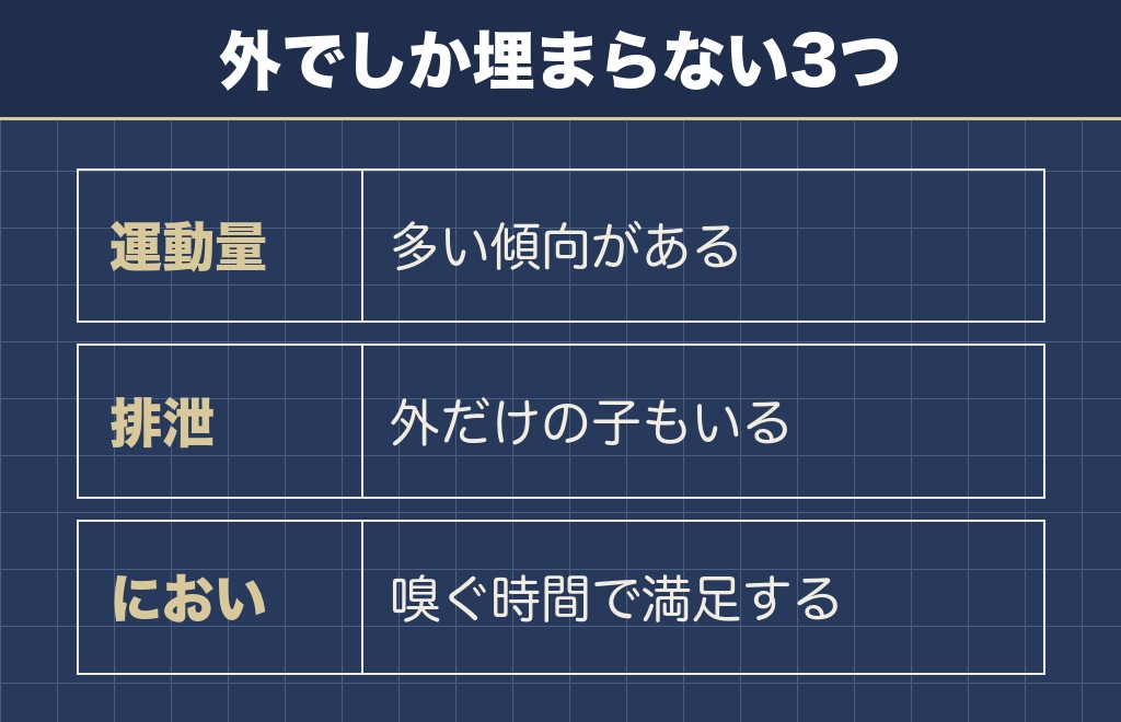 柴犬は散歩が必須といえる理由