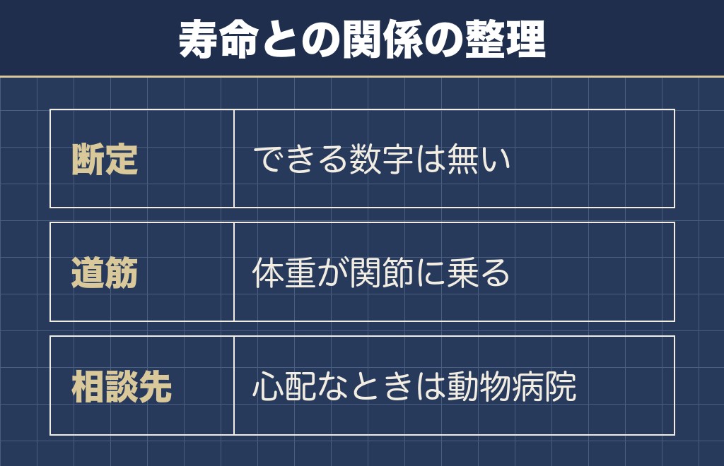 柴犬の散歩と寿命の関係は言い切れない