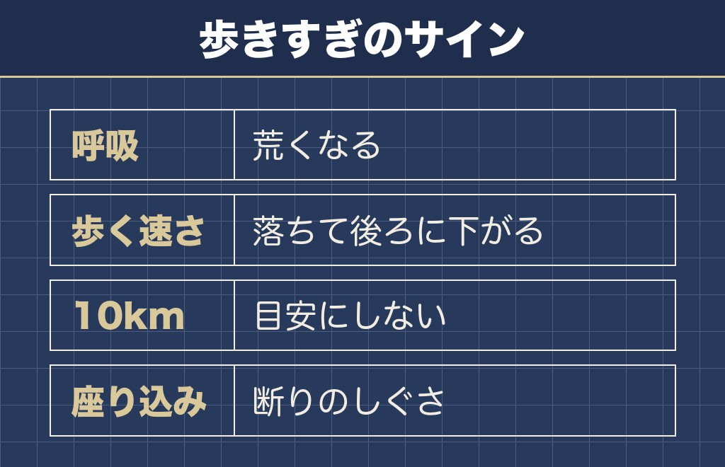 柴犬の散歩は行き過ぎにも気をつける