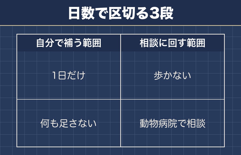柴犬の散歩に行けない日に私が決めている順番
