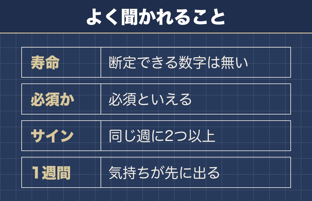 柴犬の散歩に関するQ&A