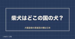 柴犬はどこの国の犬？日本原産のルーツと3つの系統や歴史も