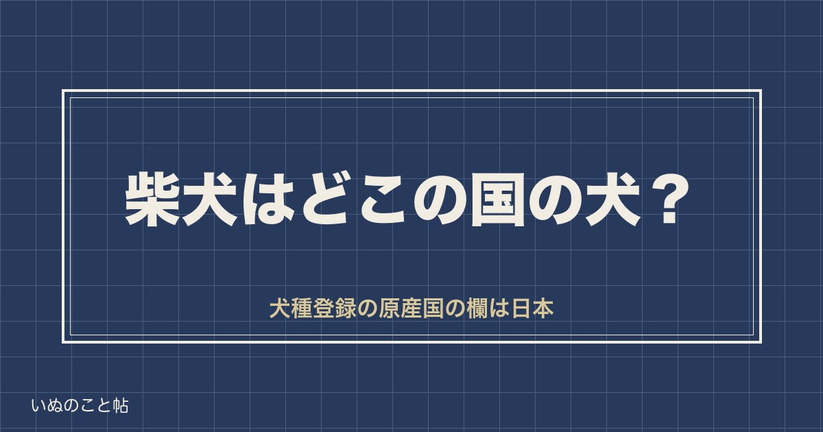 柴犬はどこの国の犬？日本原産のルーツと3つの系統や歴史も
