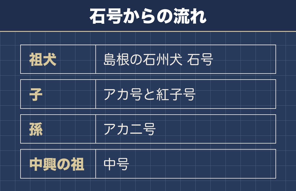 柴犬のルーツは島根県にいた石州犬の石号
