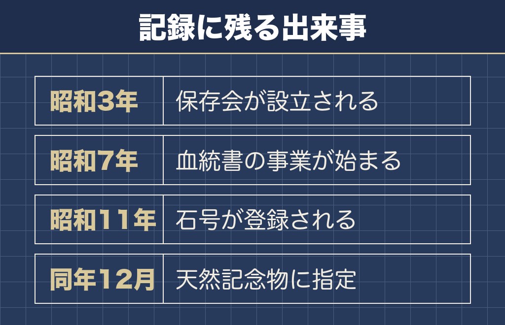 柴犬の歴史は縄文や弥生の時代までさかのぼる