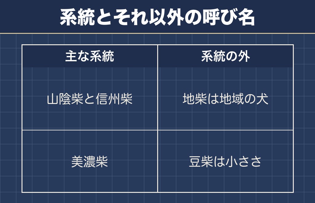 柴犬の系統は山陰と信州と美濃の3つに分かれる
