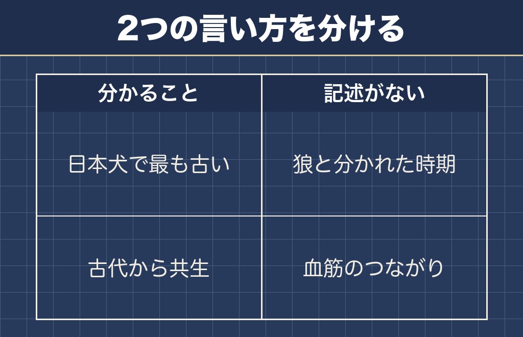 柴犬の祖先は狼とつながる古い犬とされている