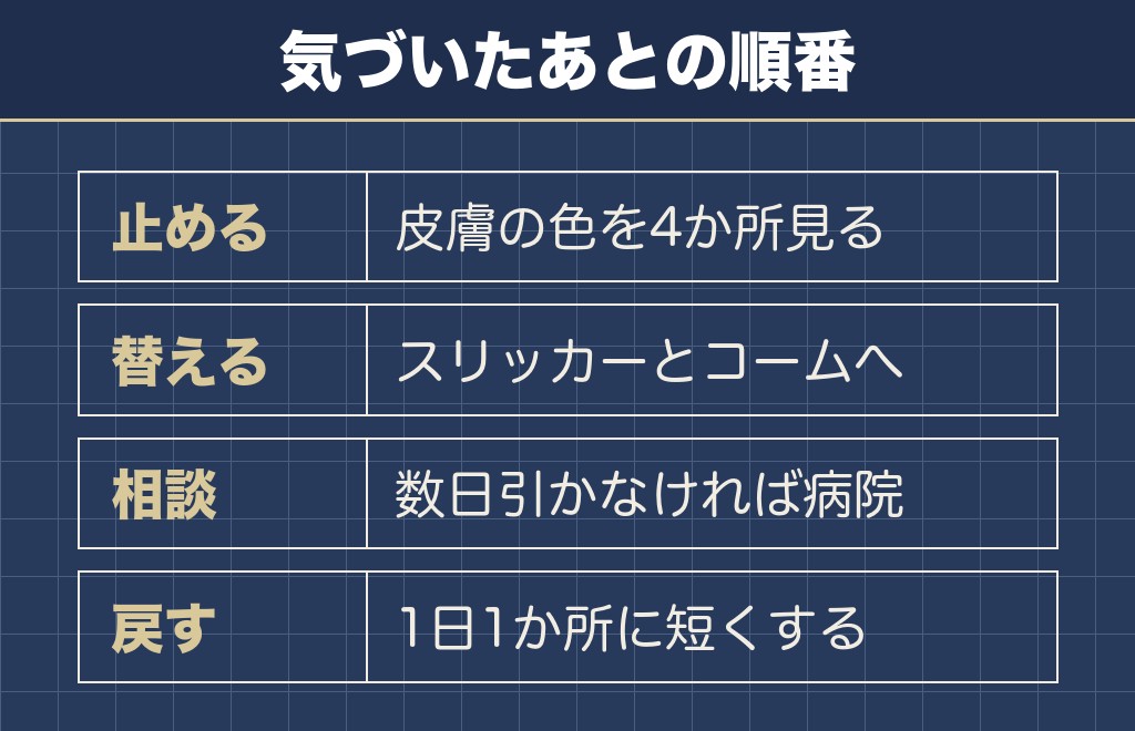 柴犬にファーミネーターをやりすぎたあとにすること