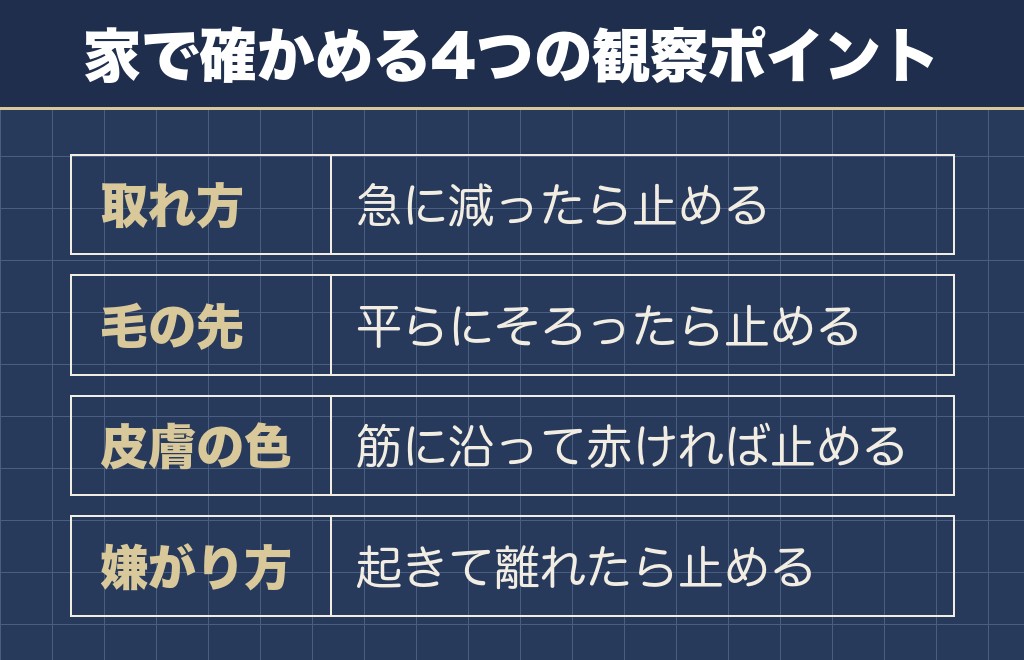 柴犬の換毛期に抜け続けるのはやりすぎとは別