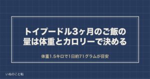 トイプードル3ヶ月のご飯の量は何グラム？回数と食べないときも