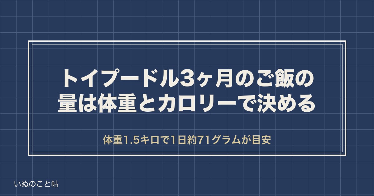 トイプードル3ヶ月のご飯の量は何グラム?回数と食べないときも