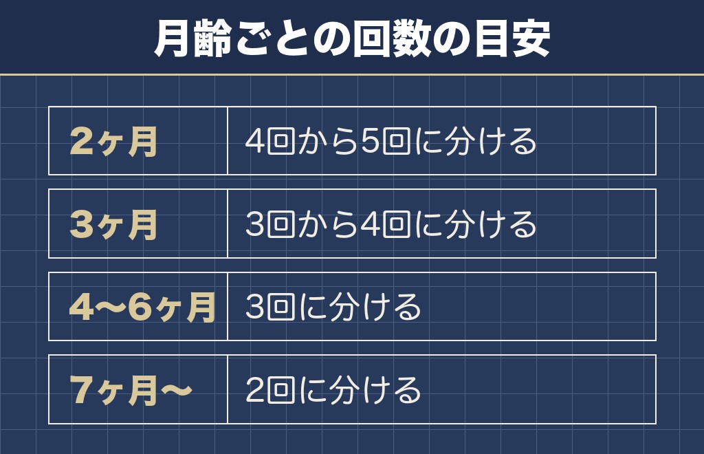 トイプードルの3ヶ月のご飯の回数は1日3回から4回